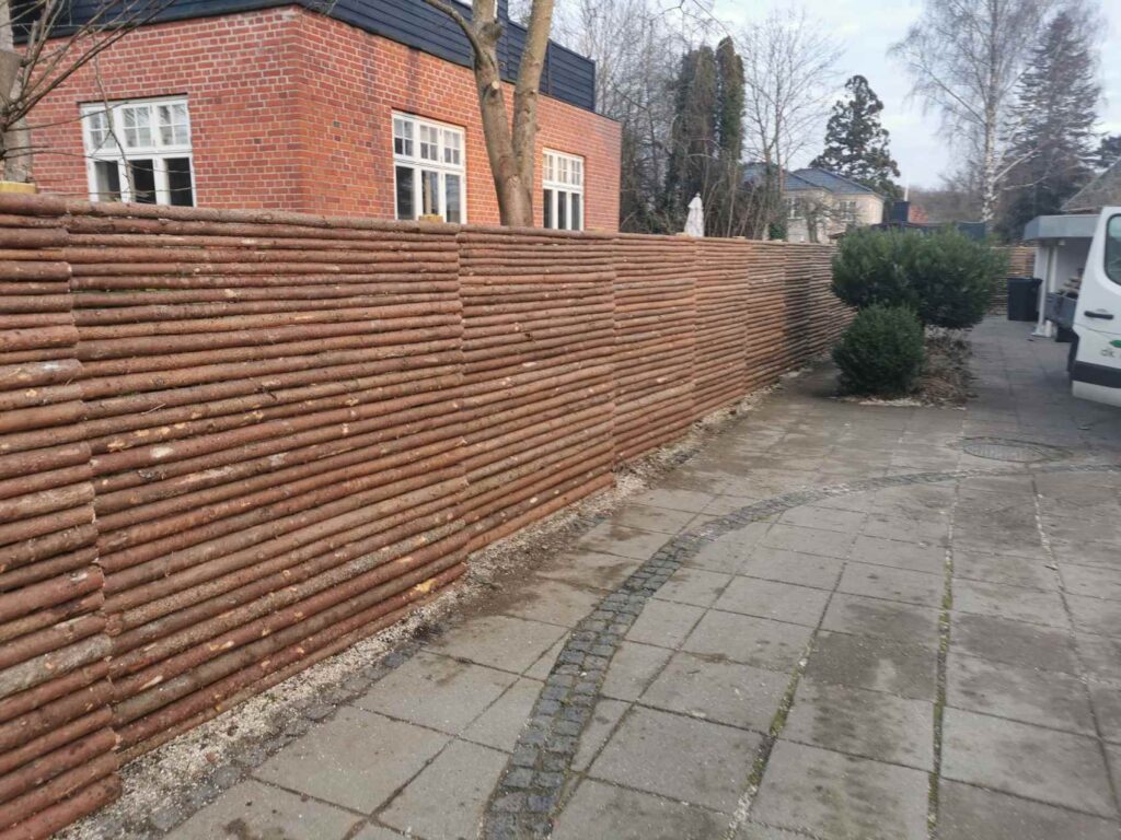 153306210_885087088734824_6076745946195577182_n - Copy